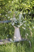 Bouquet of flowers in cream enamel jug on old wooden bench - Alliums, Leucanthemum vulgare, Philadelphus, Nigella and Digitalis purpurea