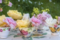Pink and yellow roses displayed in vintage rose patterned china teacups on tray