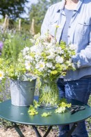 Woman arranging a bouquet of flowers containing Alchemilla mollis, Centaurea 'Ball White', Omphalodes 'Little Snow White', Leucanthemum vulgare and Aquilegia 'Lime Sorbet'