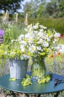 Bouquet of flowers containing Alchemilla mollis, Centaurea 'Ball White', Omphalodes 'Little Snow White', Leucanthemum vulgare and Aquilegia 'Lime Sorbet' in a glass vase 