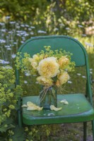Buff yellow roses with Alchemilla mollis in glass jar on green metal chair