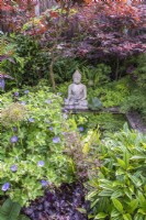 Small formal pool with waterlilies; stone Buddha  and bordered by Acers, Geraniums,  evergreen and shade loving plants