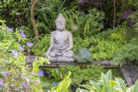 Small formal pool with waterlilies; stone Buddha  and bordered by Acers, evergreen and shade loving plants