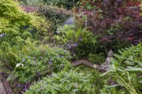 Mixed border of shade loving plants around rectangular pond with Buddha sculpture.  Plants include Skimmia, Acers, ferns, Geranium 'Brookside'