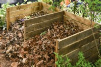 Compost bins made from planks of wood filled with dry leaves.