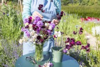 Woman arranging a bouquet of flowers containing Lathyrus 'Beaujolais' and 'High Scent', Centaurea 'Black Ball', Lunaria annua - Honesty and Gypsophila elegans 'Covent Garden'