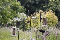 A selection of bird feeders in the middle of a mixed border with trees and shrubs in the background. A greater spotted woodpecker is on one of the bird feeder stands. Summer. June. 