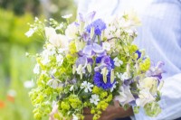 Woman holding a bouquet of flowers containing Gypsophila elegans 'Covent Garden', Alchemilla mollis, Lathyrus 'Blue Ripple' and 'High Scent' and Briza maxima