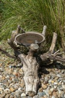 Rustic bird bath created from old metal dish attached to a piece of dead tree trunk - Open Gardens Day, Wingfield, Suffolk