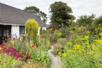 South House Garden beds featuring dahlias, monarda, verbascum, rudbeckia, Irish yew 