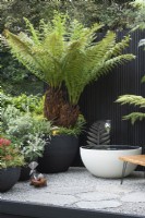 A courtyard inspired by New Zealand, with handmade pots filled with native plants and tree ferns. A bespoke water feature is fed by a silver fern, NZ's national symbol.