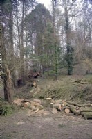 Winter storm damage of windbreak at Marwood Hill Gardens, Devon, UK