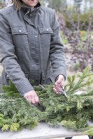 Woman trimming the pine branches