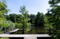 Essen North Rhine-Westphalia (Nordrhein-Westfalen (NRW)) Germany
Grugapark. Waldsee wetland gardens. Decking pathway over the pond. 