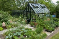 Modern greenhouse with vegetable plots, fruit cage, forcing  pots and slab paths in sunken area beyond lawn - Open Gardens Day, Tuddenham, Suffolk