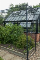 Fruit cage with nylon netting beside greenhouse, containing Redcurrant and Gooseberry bushes - Open Gardens Day, Tuddenham, Suffolk
