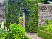 Bay laurus nobilis trimmed archway against a brick wall July Summer