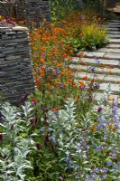 Border of perennial plants with structural feature of dry stone walls and path of stone blocks alongside - Chelsea Flower Show