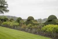 Topiary hedges at Grimsthorpe Castle, April