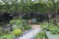 A wildlife friendly garden enclosed in a purple beech hedge has a seating area reached along a paved path that separates two borders of textural planting. Large pots are planted with multi-stemmed Tibetan cherry trees.