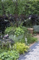 Set in a border of textural planting, a large pot is planted with a multi-stemmed Tibetan cherry tree, Prunus serrula, edged in alchemilla and ferns.