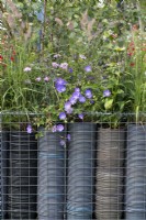 A low boundary is created from metal gabions filled with plastic plant pots, a clever way of upcycling waste plastic. The topmost pots are planted with grasses and flowering perennials