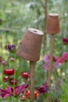 Small terracotta pots make good cane toppers.