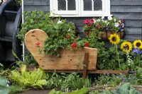 Beside an old water wheel, a wheelbarrow planter is made from an old dining table, and filled with trailing pelargonium.