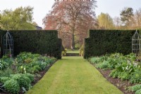 Double borders with tulips and perennials with double hedges of Taxus bachata with central grass path leading on to large Fagus 