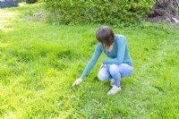Woman touching long grass with Bellis - Daisies - no mow May
