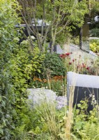 Terrace garden with perennials and shrubs, summer July