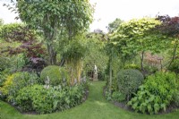 Mixed beds in Garden open for Charity, Four Oaks, June