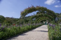 Giverny, France - Monet's Garden - Rose Archways amidst Irises and perennial borders -  May 2023