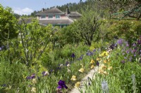Giverny, France - Monet's Garden - Iris and perennial borders and pathways -  May 2023