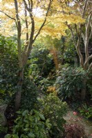 Four Seasons Garden - West Midlands - October