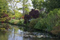 Giverny, France - Monet's Garden - The Waterlily Pond - May 2023