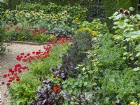 The Vegetable garden at East Ruston gardens in Norfolk  June