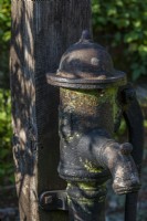 old rustic water pump head in Spring - April