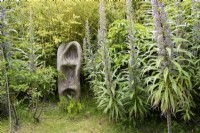 Wood carving surrounded by the spires of Echium pininana in a Cornish garden in May