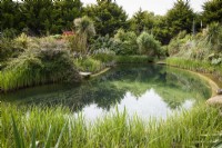 Natural swimming pond surrounded by lush foliage plants in a Cornish garden in May