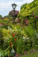 Dense planting of roses, various perennials and shrubs in country cottage garden - Open Gardens Day, Stowupland, Suffolk