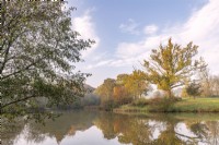 View across a lake to mixed trees in Autumn colour in an informal country garden - November 