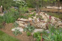 Rubble surrounded by wildflowers in The Wildlife Trusts: Wilder Spaces garden at RHS Malvern Spring Festival 2023