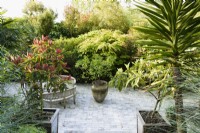 Sunken garden with containerised plants including a lemon tree and eriobotryas in May