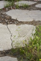 Cracked aggregate pathway/paving in drought tolerant garden. Summer.