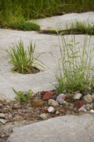 Detail of aggregate 'pathway' in drought tolerant garden. Summer.