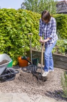 Woman digging hole to plant Hazel