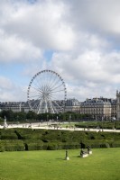 Paris France 
Jardin des Tuileries gardens in the city centre
Elevated view with statues hedges and a big wheel