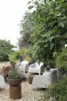 Terrace with gravel surface and seat area. Container on decorated rustic iron table. Large fig tree and containers planted with several grasses.
