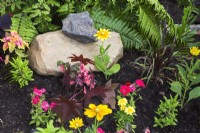 Yellow Rudbeckia hirta - Black-Eyed Susan, red Petunias, Ricinus communis - Castor Bean, Tagetes - Marigold, Blechnum - Hard Fern, Solenostemon - Coleus in border in spring.